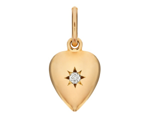 philippa-herbert-9ct-yellow-gold-appleseed-heart